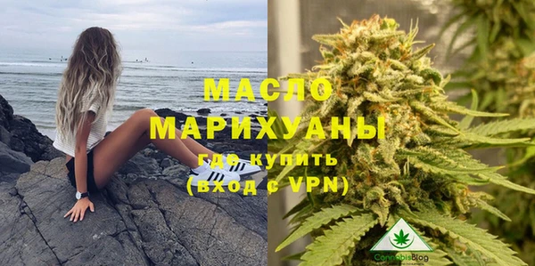 эйфоретик Вяземский