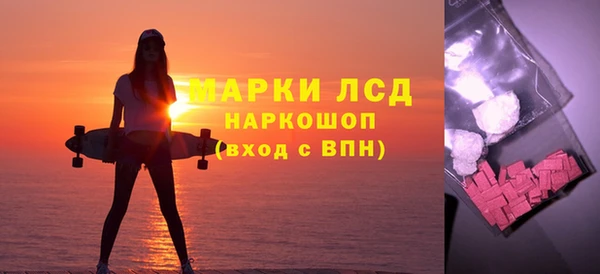эйфоретик Вяземский