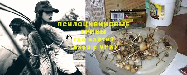 эйфоретик Вяземский